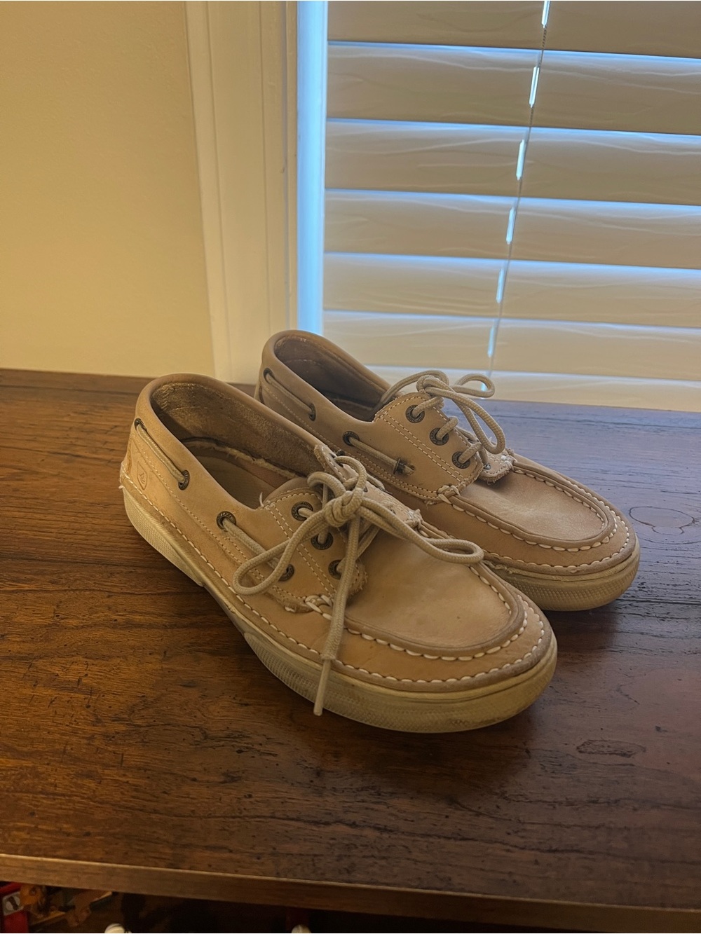 Boy’s Sperry Boat Shoes Size 2.5